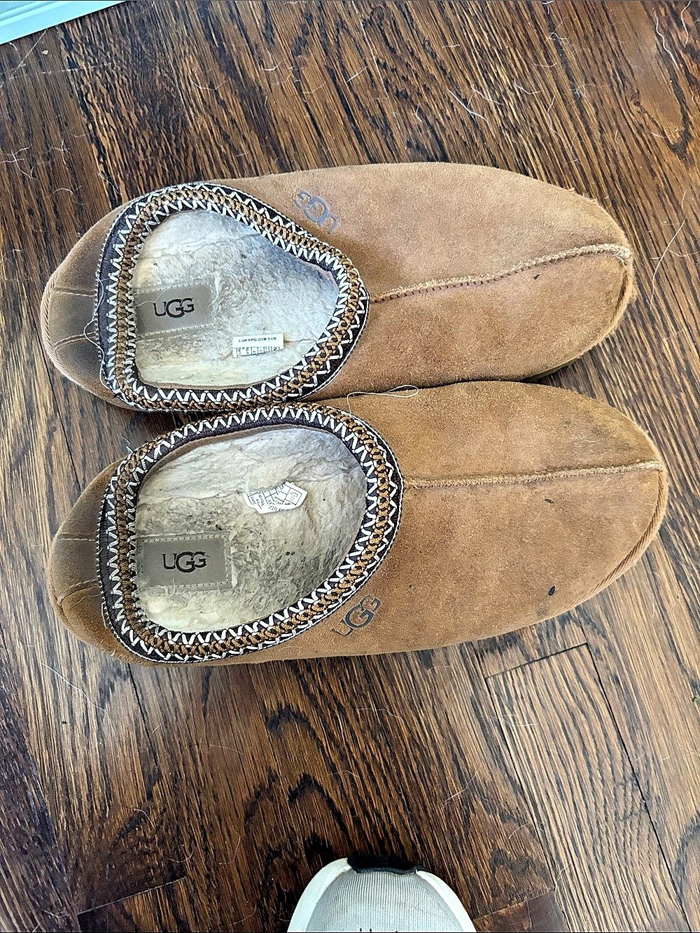UGG Tasman Slipper Brown Slippers